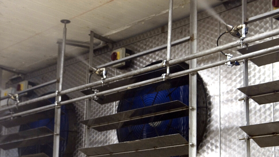 Humidification of fish canning process Humidification of fish canning process